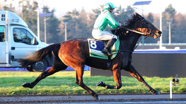 Mit altem Reitstil zum Weltrekord: Ina du Rib (Foto: letrot.com) Mit altem Reitstil zum Weltrekord: Ina du Rib (Foto: letrot.com)