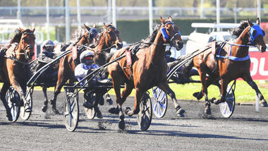 Inexess Bleu wie entfesselt (Foto: letrot.com) Inexess Bleu wie entfesselt (Foto: letrot.com)