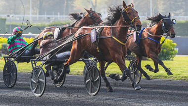 Ino du Lupin im Prix du Bois de Vincennes (Foto: Le Trot)