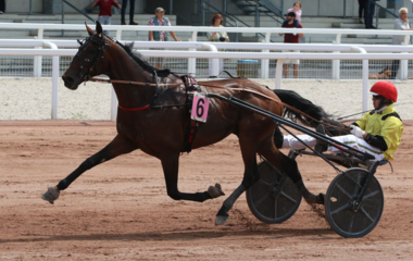 Erfolgreiche "Kistenfahrt" für Michael Nimczyk in Mons (Foto: letrot.com) Erfolgreiche "Kistenfahrt" für Michael Nimczyk in Mons (Foto: letrot.com)