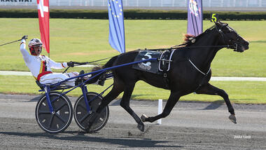 Zacon Gio war 2019 der bislang letzte Sieger im International Trot (standardbredcanada.ca) Zacon Gio war 2019 der bislang letzte Sieger im International Trot (standardbredcanada.ca)