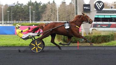 Ein neues Dreamteam? Iroise de la Noe und Eric Raffin (Foto: Le Trot)