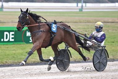 Sieg Nr. 1001 für Jaap van Rijn mit Liberto (Foto: Dennis Kraum)