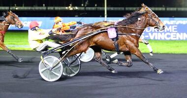 Jimmy Ferro BR im Prix de Décize (Foto: province-courses.fr)