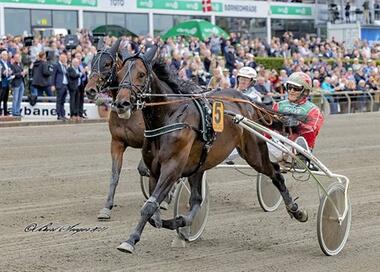 Steen Juul gewinnt sein zehntes Derby (Foto: danskhv.dk) Steen Juul gewinnt sein zehntes Derby (Foto: danskhv.dk)