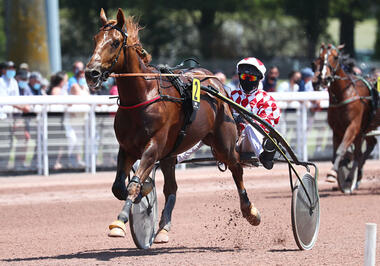 Gewann seine zweite Etappe: Crack Money (Foto: letrot.com) Gewann seine zweite Etappe: Crack Money (Foto: letrot.com)