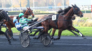 Auf Kurs: Jushua Tree im Prix Doynel de Saint-Quentin (Foto: letrot.com) Auf Kurs: Jushua Tree im Prix Doynel de Saint-Quentin (Foto: letrot.com)