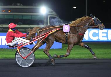 Zweijähriger Kamehameha im Prix Emmanuel Margouty (Foto: letrot.com)