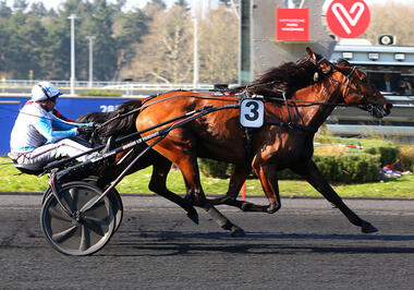 Ampia Mede SM bezwingt den nahezu verdeckten Cleangame (Foto: letrot.com) Ampia Mede SM bezwingt den nahezu verdeckten Cleangame (Foto: letrot.com)