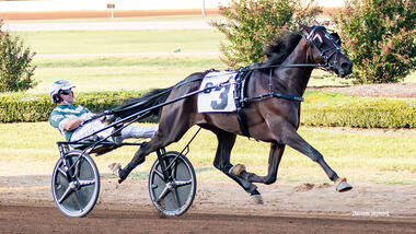 Keine Ende in Sicht: Karl gewinnt zum 17. Mal (Foto: standardbredcanada.ca)