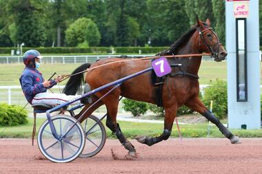 Rennlaufbahn beendet: Havanaise (Foto: equidia.fr) Rennlaufbahn beendet: Havanaise (Foto: equidia.fr)