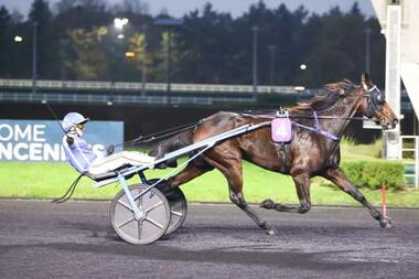 Gaspar d'Angis im Prix des Cévennes (Foto: canalturf.com)