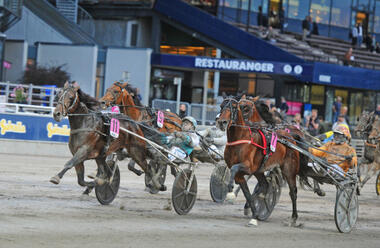 Keep Asking im Prix Tetrick Wania (Foto: sulkysport.se) Keep Asking im Prix Tetrick Wania (Foto: sulkysport.se)
