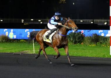 Dynasty Péji im Prix Paul Buquet (Foto: letrot.com) Dynasty Péji im Prix Paul Buquet (Foto: letrot.com)