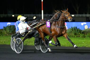 Always Ek und Eric Raffin im Prix de Reims (Foto: equidia.fr) Always Ek und Eric Raffin im Prix de Reims (Foto: equidia.fr)