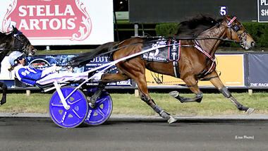 Allegiant in den Matron Stakes für Stuten (Foto: standardbredcanada.ca) Allegiant in den Matron Stakes für Stuten (Foto: standardbredcanada.ca)