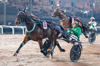 Brillanter Klaus von Herten mit Robin Bakker (Foto: Jägersro Trav)