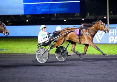 Ampia Mede SM im Prix Marcel Laurent (Foto: letrot.com)