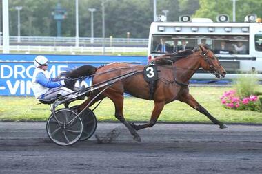 Ampia Mede SM im Prix du Crépuscule (Foto: canalturf.com) Ampia Mede SM im Prix du Crépuscule (Foto: canalturf.com)