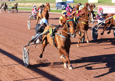 Cleangame (rechts) springt, Eddy du Vivier gewinnt (Foto: letrot.com) Cleangame (rechts) springt, Eddy du Vivier gewinnt (Foto: letrot.com)