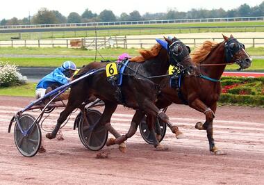 Harter Fight in La Capelle (Foto: letrot.com) Harter Fight in La Capelle (Foto: letrot.com)