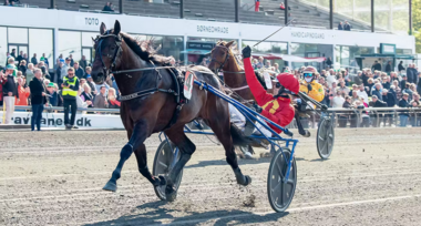 Kuiper im Copenhagen Cup (Foto: Mikael Rosenquist/TR Media)