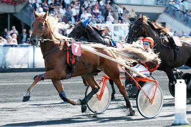 "La Blonde" Lady d‘Auvrecy (Foto: paris-turf.fr) "La Blonde" Lady d‘Auvrecy (Foto: paris-turf.fr)