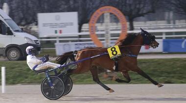 Diamond Francis im Gran Premio Mario Locatelli (Foto: gioconews.it) Diamond Francis im Gran Premio Mario Locatelli (Foto: gioconews.it)