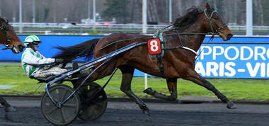Free Man mit Alexandre Abrivard im Prix d’Angoulême (Foto: province-courses.fr)