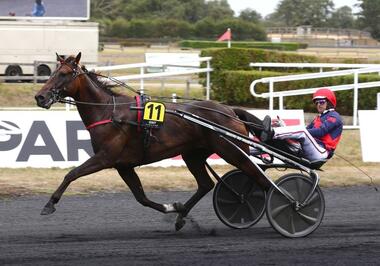 Farrell Seven in Meslay-du-Maine (Foto: letrot.com) Farrell Seven in Meslay-du-Maine (Foto: letrot.com)