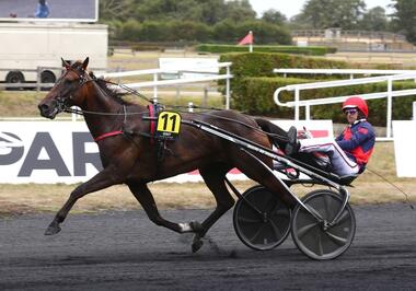 Farrell Seven in Meslay-du-Maine (Foto: letrot.com)