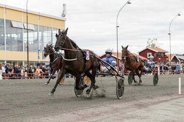 Milliondollarrhyme im Ego Boys Minne (Foto: aftonbladet.se)