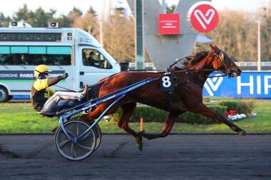 Inmarosa im Prix d’Avignon (Foto: canalturf.com) Inmarosa im Prix d’Avignon (Foto: canalturf.com)