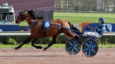 Den souveränen Start-Ziel-Sieger Igrec de Celland sah Idao de Tillard nur aus der Ferne (Foto: Le Trot)
