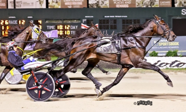 Winner's Bet und Tausendsassa Dexter Dunn im Charlie Hill Memorial (Foto: drf.com)