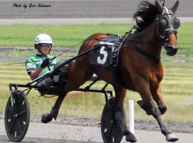 Splash Blue Chip (Foto: drf.com/Geri Schwarz) Splash Blue Chip (Foto: drf.com/Geri Schwarz)