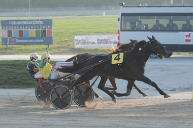 Gocciadoro-Einlauf im Gran Premio delle Nazioni (Foto: equos.it)