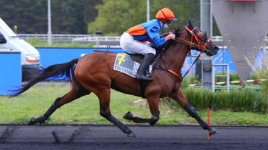 Gladys des Plaines mit Mathieu Mottier © zeturf.fr