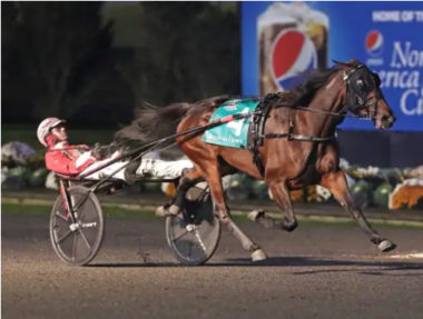 (Foto: harnessracingupdate.com)