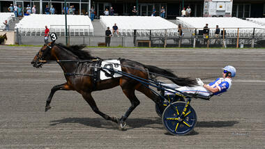 Super Chapter lässt Maryland keine Chance (Foto: Standardbred Canada) Super Chapter lässt Maryland keine Chance (Foto: Standardbred Canada)