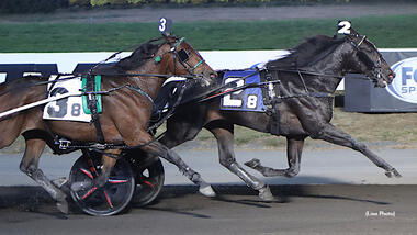 Zweijähriger Maryland wird gewinnreichster Traber 2024 weltweit (standardbredcanada.ca) Zweijähriger Maryland wird gewinnreichster Traber 2024 weltweit (standardbredcanada.ca)