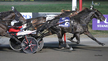 Zweijähriger Maryland in 1:09,5 (Foto: standardbredcanada.ca)