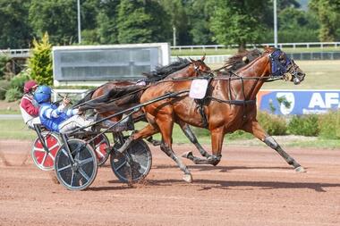 Die Sensation ist perfekt: Mat Manathis schlägt Ginostrabliggi (Foto: ventes-caen-trot.com) Die Sensation ist perfekt: Mat Manathis schlägt Ginostrabliggi (Foto: ventes-caen-trot.com)