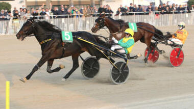 Gocciadoro-Einlauf im Gran Premio delle Nazioni (Foto: equos.it) Gocciadoro-Einlauf im Gran Premio delle Nazioni (Foto: equos.it)