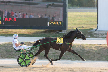 Dimitri Ferm dominiert Italiens Dreijährige (Foto: equos.it)