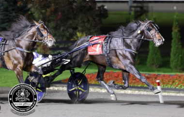 Meshugga überläuft innen Super Chapter