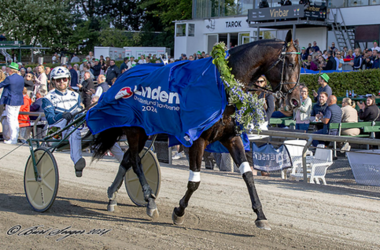 Icebreaker und Magnus Djuse nach dem Dansk Trav Derby (Foto: travet.dk)