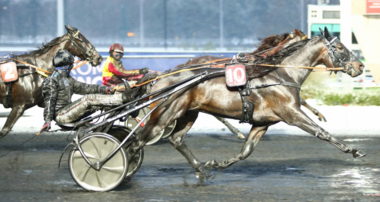 Überraschungseinlauf: Power (10) vor Gelati Cut (Foto: equidia.fr) Überraschungseinlauf: Power (10) vor Gelati Cut (Foto: equidia.fr)