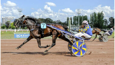 Eric the Eel im Grand Prix du Conseil Municipal (Foto: letrot.com) Eric the Eel im Grand Prix du Conseil Municipal (Foto: letrot.com)