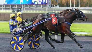 Eric the Eel im Prix du Languedoc (Foto: letrot.com) Eric the Eel im Prix du Languedoc (Foto: letrot.com)